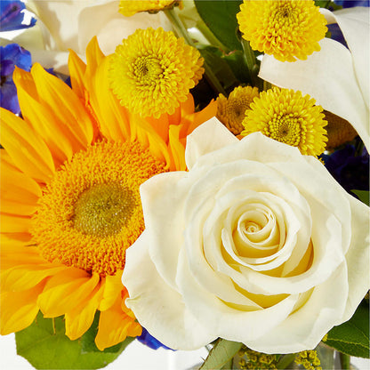 Stargazing Bouquet –  Mossholders Floral, Arvada CO