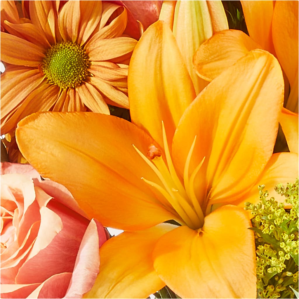 Harvest Hayride Bouquet –  Mossholders Floral, Arvada CO