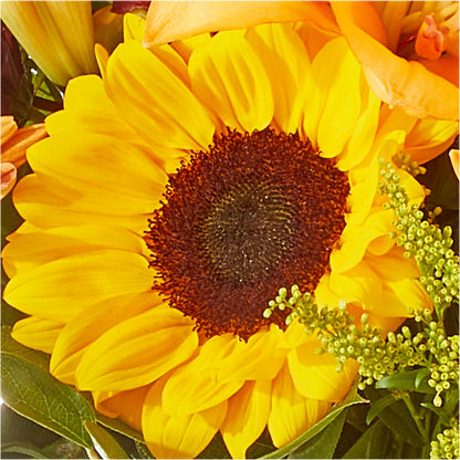 Seasons Change Bouquet –  Mossholders Floral, Arvada CO