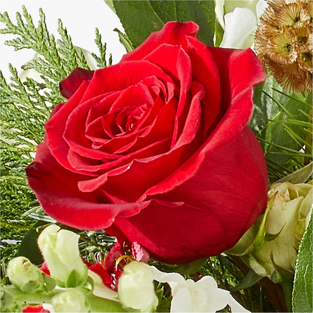 Deck the Halls Bouquet –  Mossholders Floral, Arvada CO