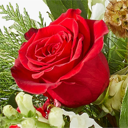 Deck the Halls Bouquet –  Mossholders Floral, Arvada CO