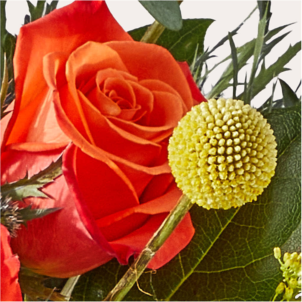Disco Bouquet –  Mossholders Floral, Arvada CO