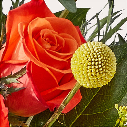 Disco Bouquet –  Mossholders Floral, Arvada CO