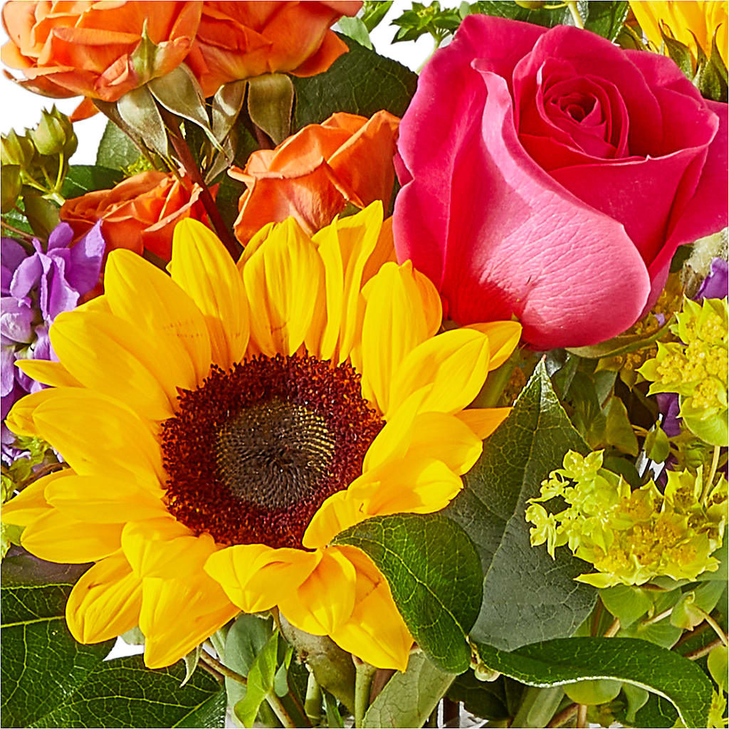 Vibrant Greetings Bouquet –  Mossholders Floral, Arvada CO