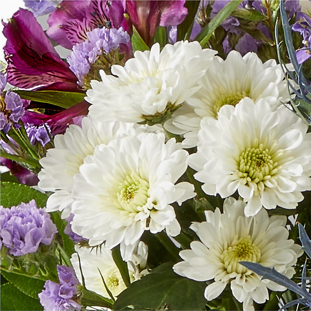 Shooting Star Bouquet –  Mossholders Floral, Arvada CO