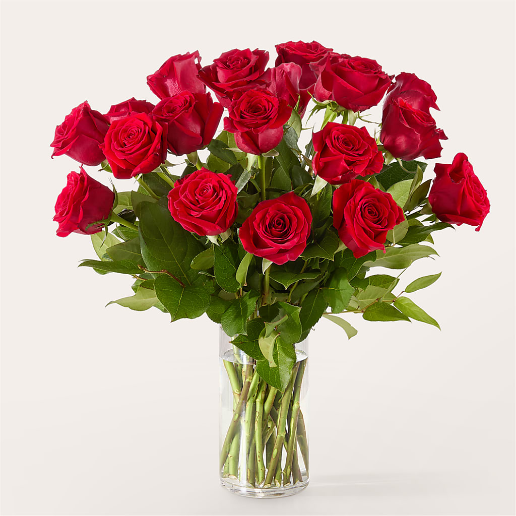 The One Red Rose Bouquet –  Mossholders Floral, Arvada CO