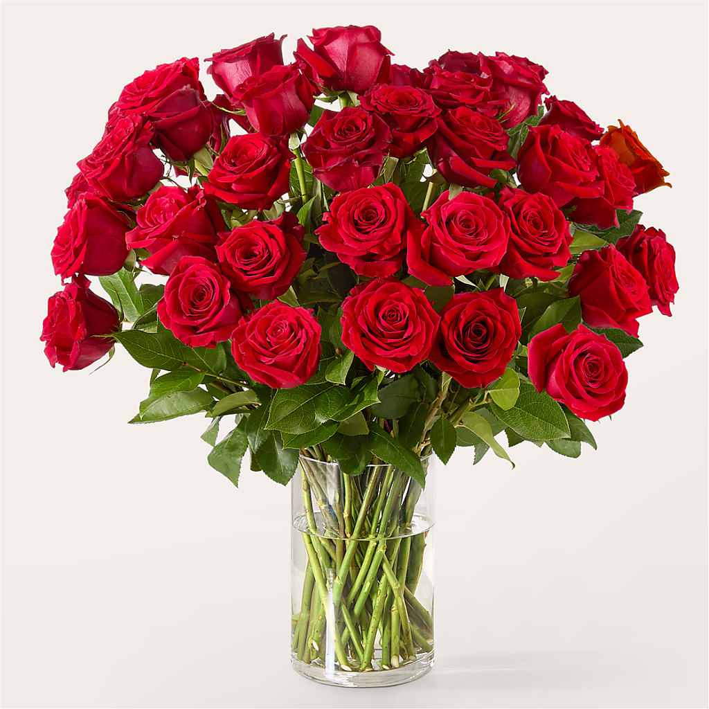 The One Red Rose Bouquet –  Mossholders Floral, Arvada CO