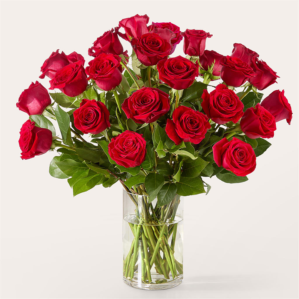 The One Red Rose Bouquet –  Mossholders Floral, Arvada CO