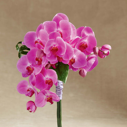 Glorious Bouquet –  Mossholders Floral, Arvada CO