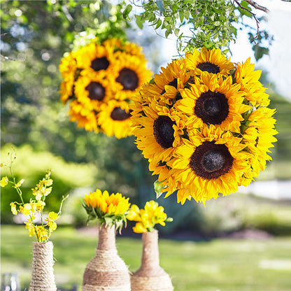 Sublime Garden Hanging Arrangement –  Mossholders Floral, Arvada CO