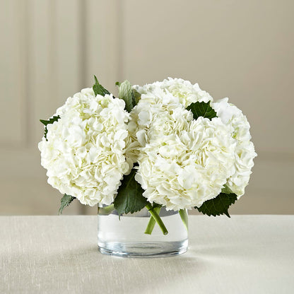 White Hydrangea Bouquet –  Mossholders Floral, Arvada CO