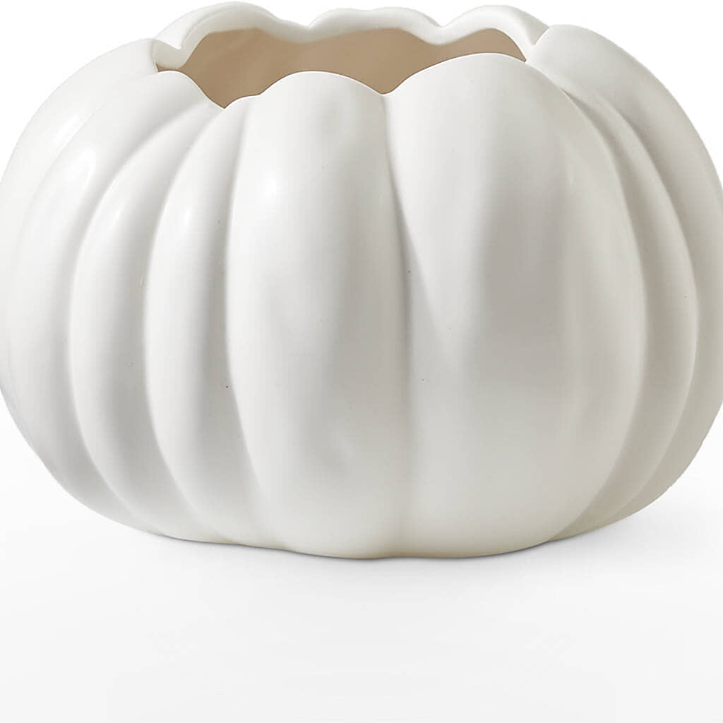 Pumpkin to Talk About Bouquet –  Mossholders Floral, Arvada CO