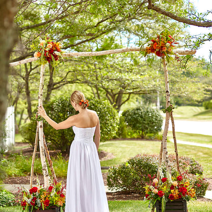 Arbor of Love Archway –  Mossholders Floral, Arvada CO