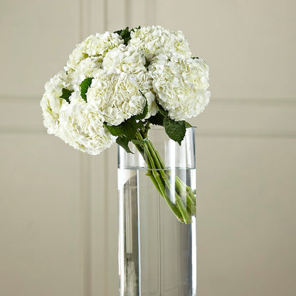 White Hydrangea Hand-Tied Bouquet –  Mossholders Floral, Arvada CO