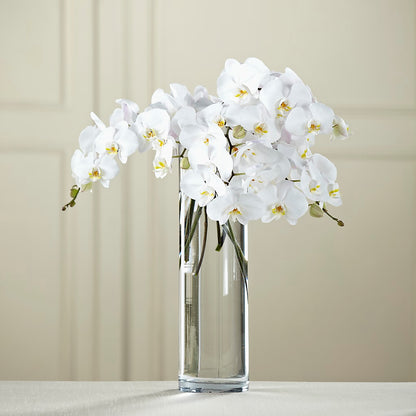 White Phalaenopsis Bouquet –  Mossholders Floral, Arvada CO